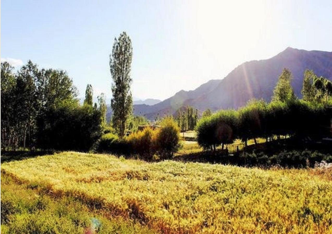 מלון לה Himalayan Residency Ladakh מראה חיצוני תמונה